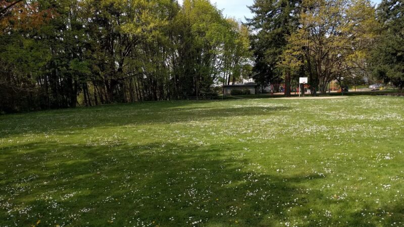 Fairmount City Park - Salem, OR