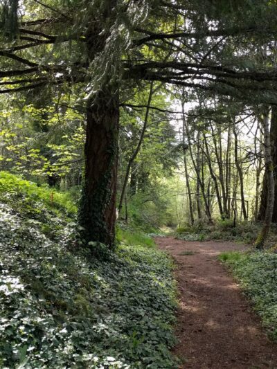 Fairmount City Park - Salem, OR