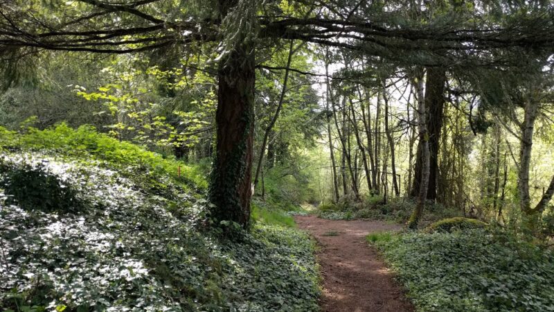 Fairmount City Park - Salem, OR