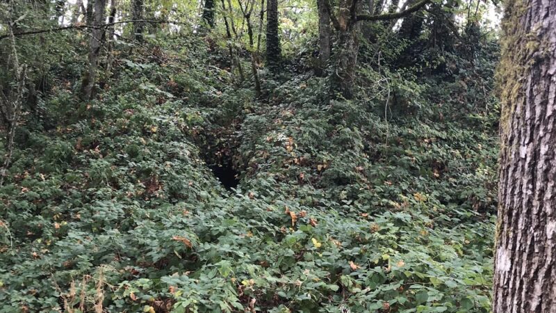 Fairmount City Park - Salem, OR