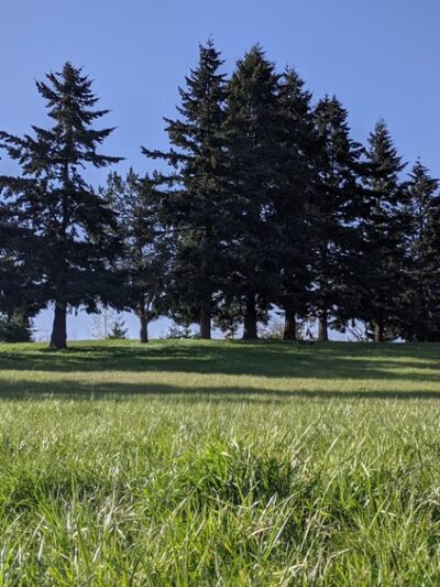 Geer Park - Salem, OR