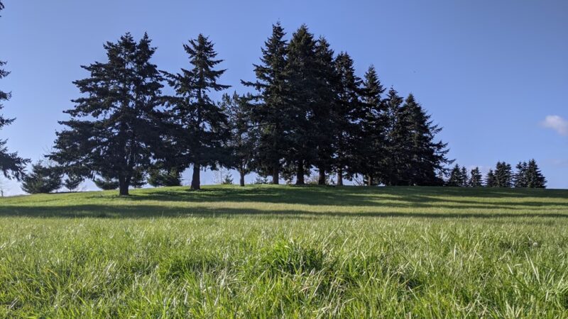 Geer Park - Salem, OR