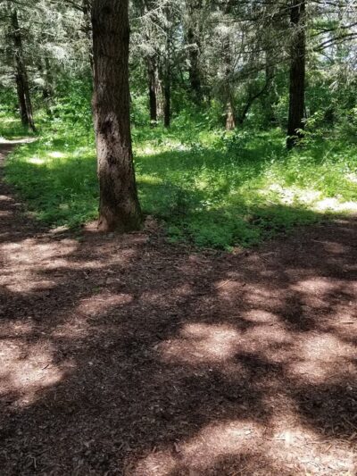 Hilfiker park - Salem, OR