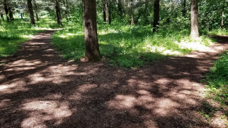 Hilfiker park - Salem, OR