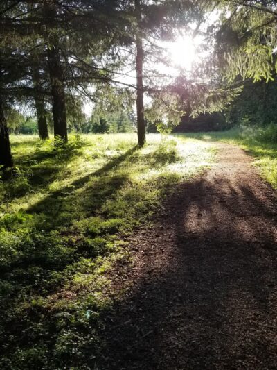 Hilfiker park - Salem, OR