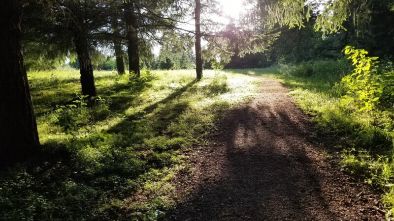 Hilfiker park - Salem, OR
