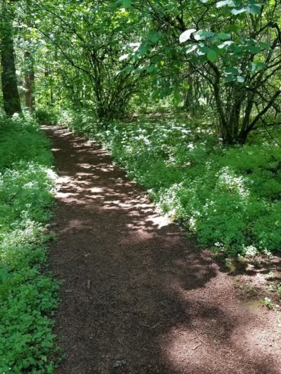 Hilfiker park - Salem, OR