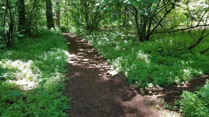 Hilfiker park - Salem, OR