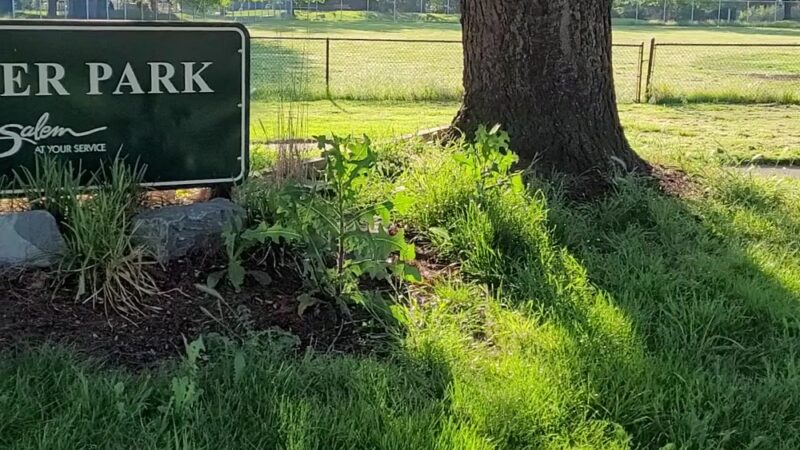 Hoover School City Park - Salem, OR