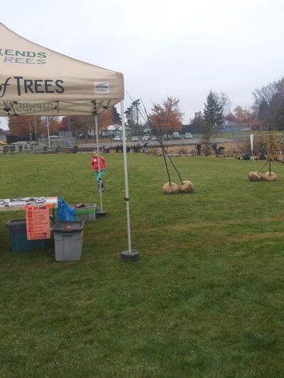 McKay City Park - Salem, OR