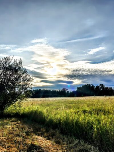 Minto-Brown Island Park - Salem, OR