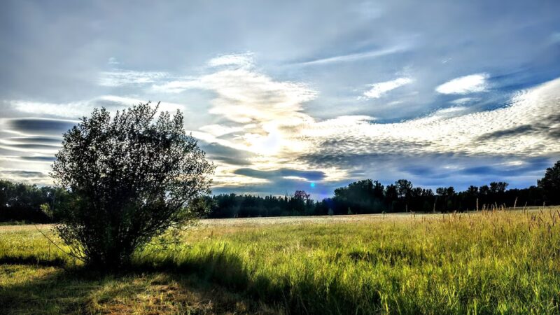 Minto-Brown Island Park - Salem, OR