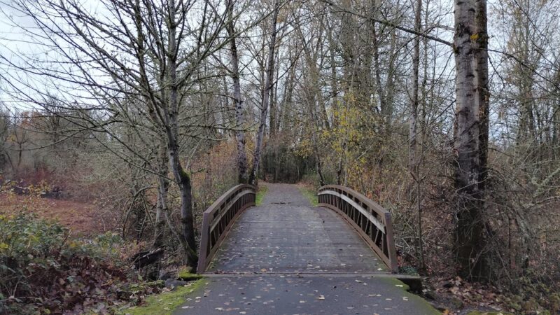 Minto-Brown Island Park - Salem, OR