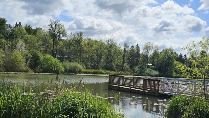Minto-Brown Island Park - Salem, OR