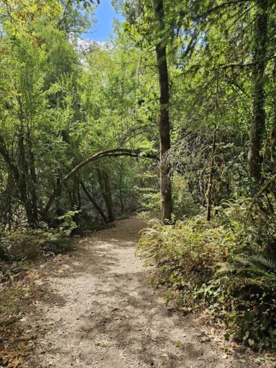 Orchard Heights Park - Salem, OR