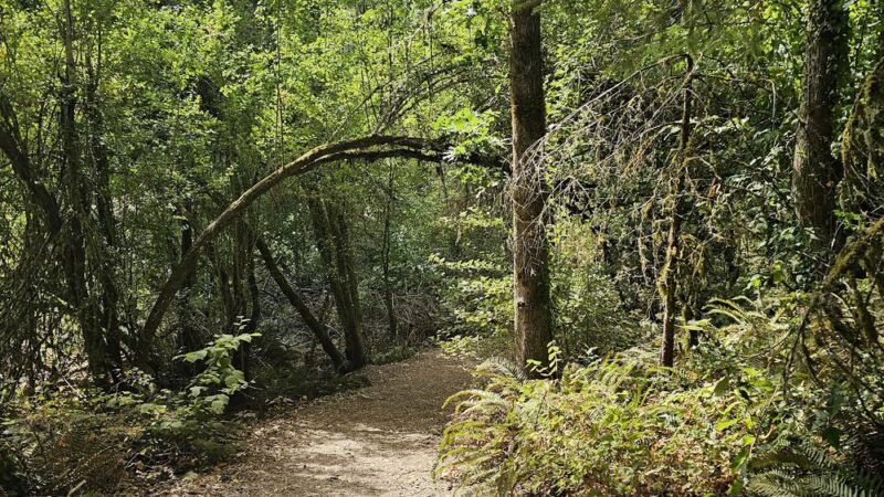 Orchard Heights Park - Salem, OR