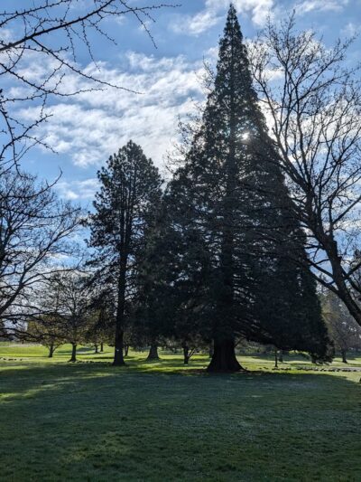 Oregon State Hospital Disc Golf Course - Salem, OR