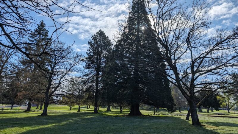 Oregon State Hospital Disc Golf Course - Salem, OR