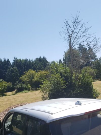 Salem city park - Salem, OR