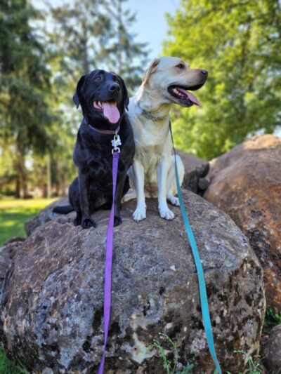 Sumpter City Park - Salem, OR