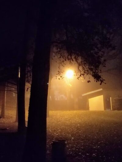 West Salem Park - Salem, OR