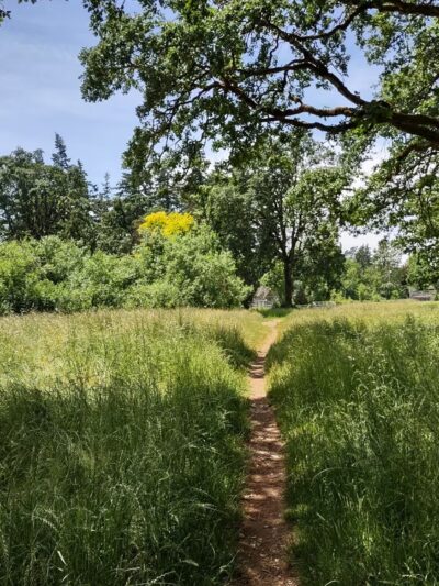 Woodmansee Park - Salem, OR