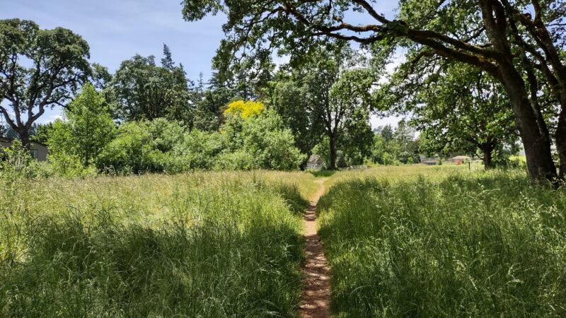 Woodmansee Park - Salem, OR