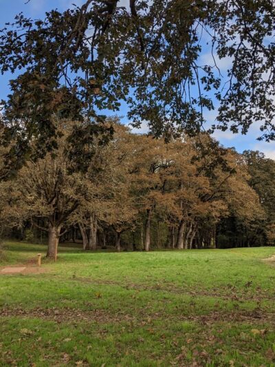Woodmansee Park - Salem, OR