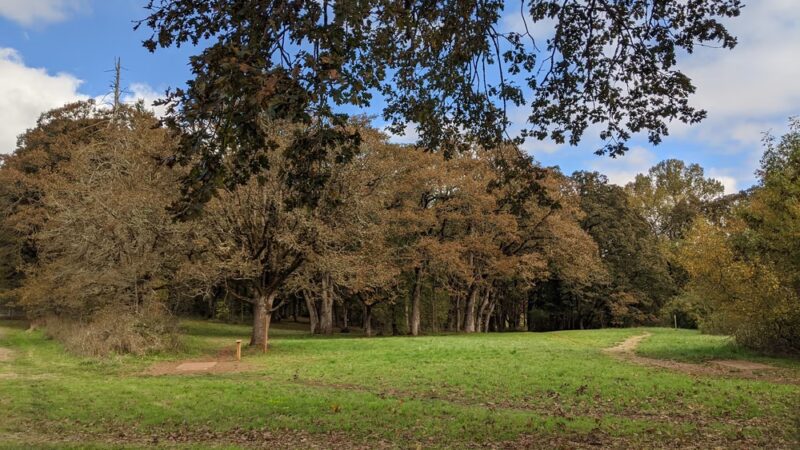Woodmansee Park - Salem, OR