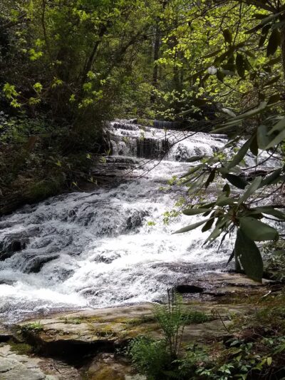 Dog trail dock - Salem, SC