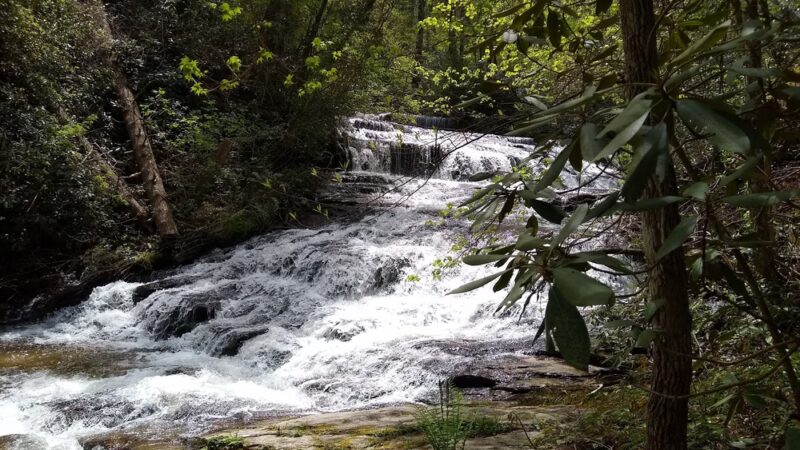 Dog trail dock - Salem, SC