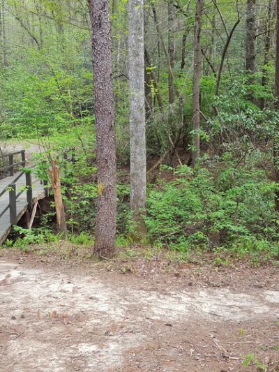 Dog trail dock - Salem, SC
