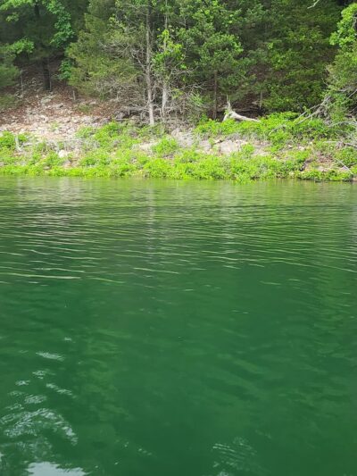 Norfork Dam Park - Salesville, AR