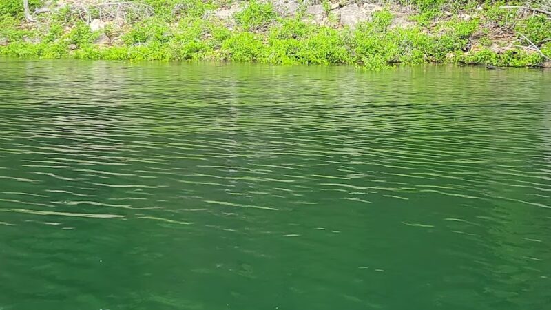 Norfork Dam Park - Salesville, AR
