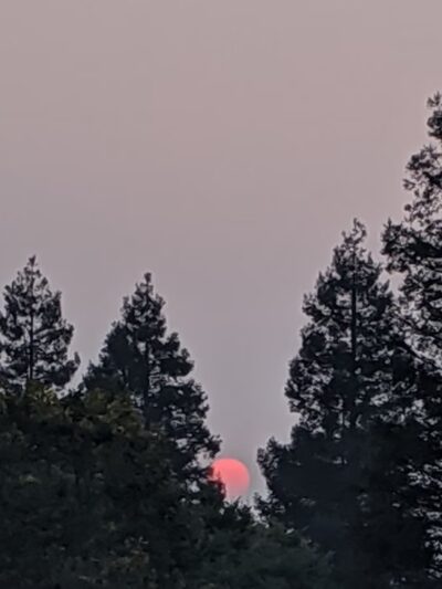 Segesta Park - Salida, CA