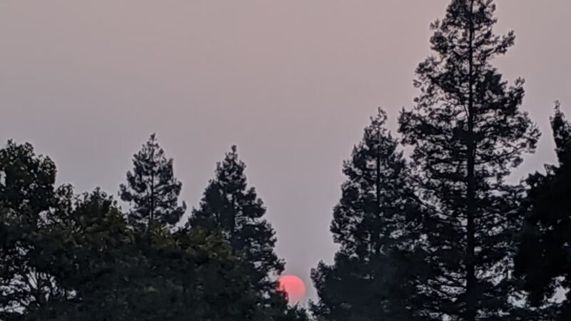 Segesta Park - Salida, CA