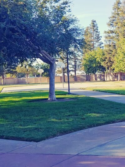 Wincanton Park - Salida, CA