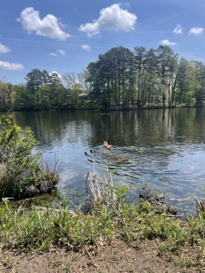 North Lake Park - Salisbury, MD
