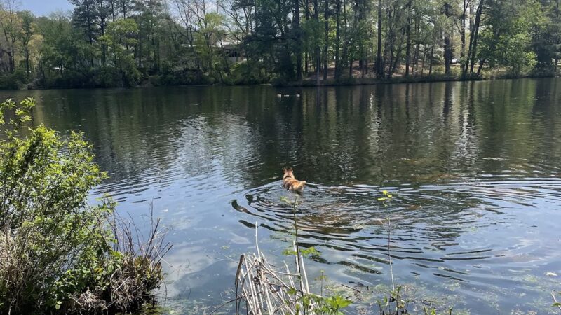 North Lake Park - Salisbury, MD