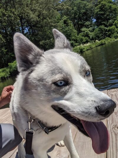 North Lake Park - Salisbury, MD