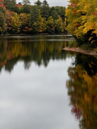 Silver Lake Trail - Salisbury, VT