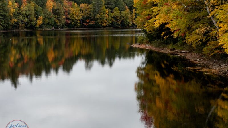 Silver Lake Trail - Salisbury, VT