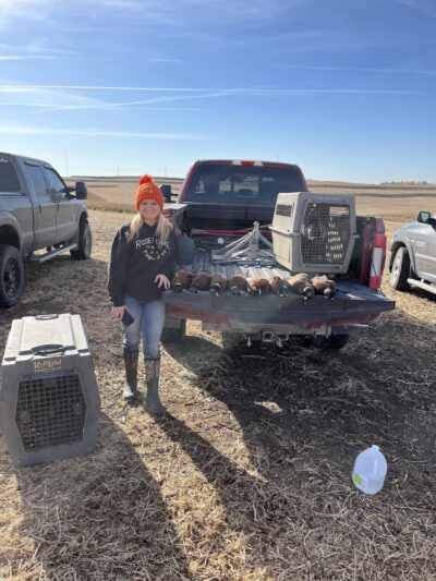 Big Red Game Birds - Salix, IA