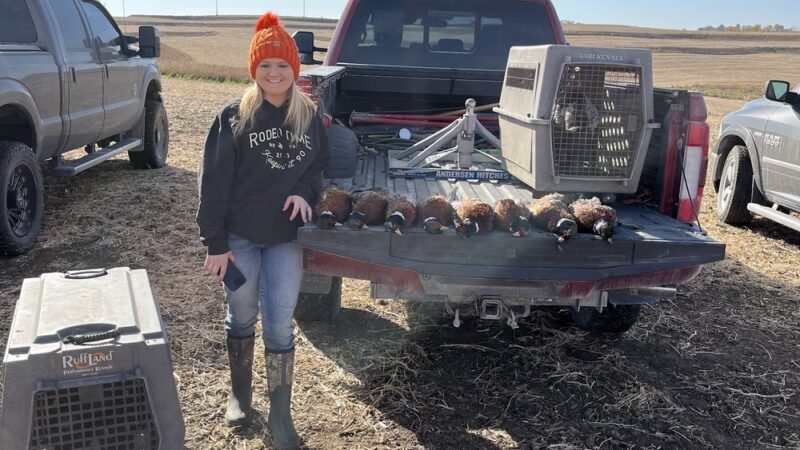 Big Red Game Birds - Salix, IA