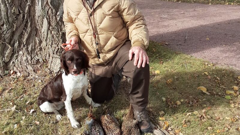 Big Red Game Birds - Salix, IA