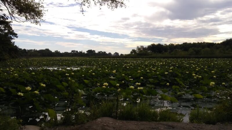 Woodbury County Conservation - Salix, IA