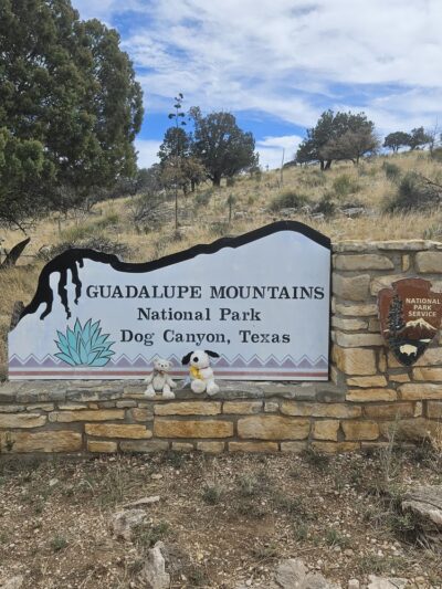 Dog Canyon Campground - Salt Flat, TX