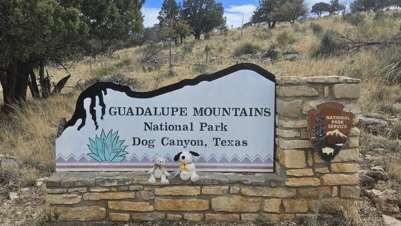 Dog Canyon Campground - Salt Flat, TX