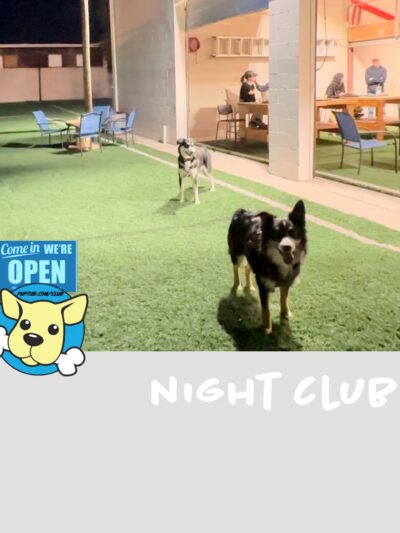 PupTub Club - Salt Lake City, UT