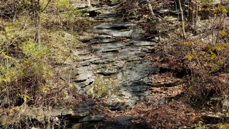 Saltsburg Canal Park - Saltsburg, PA